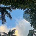 Camila Mendes Instagram - thank you @thesetaimiamibeach for a lovely week. truly in my element here 🌴 #thesetaimiamibeach The Setai, Miami Beach