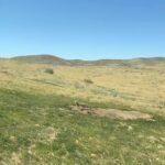Camilo Instagram - El día que grabamos el video de palpita en el desierto cerca a Los Ángeles, nos perdimos. El lugar era en la mitad de la nada. Vi un zorro por primera vez. Un señor llegó en un carro y cuando abrió el baúl, adentro había una pizza gigante, del tamaño de un ventilador de techo y con los ingredientes estaba escrito mi nombre y el de Diljit. El viento parecía que iba a levantarnos del piso. Se me llenaron los zapatos por dentro de unos pedazos de unas plantas que se sentían como agujas. Corté una camisa y me puse las mangas de medias. Vi bailar a @diljitdosanjh con unos pasos que nunca había visto en mi vida. Y el video quedó así de increíble como ese día.
