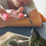 Camilo Instagram - Amanecí ilusionado porque hoy sale mi álbum DELUXE… y Dios me sorprendió con esto: Evaluna descubrió un colibrí que se perdió dentro de la casa y estaba asustado. Tratamos de ayudarlo, y nos permitió conocerlo, conversar con él, Evaluna le preparo un poquito de beber, nos hicimos amigos y pudimos acompañarlo hasta el momento en que retomó su vuelo. Cuando estaba listo para irse, salió a volar y se montó en mi cabeza como despidiéndose, y regalándome uno de los momentos más lindos de mi vida. Yo no sé cómo se comunica Dios con ustedes, pero conmigo lo hace así.