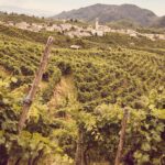 Cara Delevingne Instagram - We always knew we were going to call our Prosecco @della_vite because it means ‘of the vine’ in Italian (and sounds nicely similar to Delevingne). While driving through the roads of Valdobbiadene visiting wineries, we stumbled across this old stone sign, and knew it was meant to be.