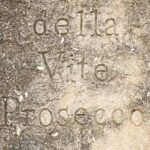 Cara Delevingne Instagram - We always knew we were going to call our Prosecco @della_vite because it means ‘of the vine’ in Italian (and sounds nicely similar to Delevingne). While driving through the roads of Valdobbiadene visiting wineries, we stumbled across this old stone sign, and knew it was meant to be.