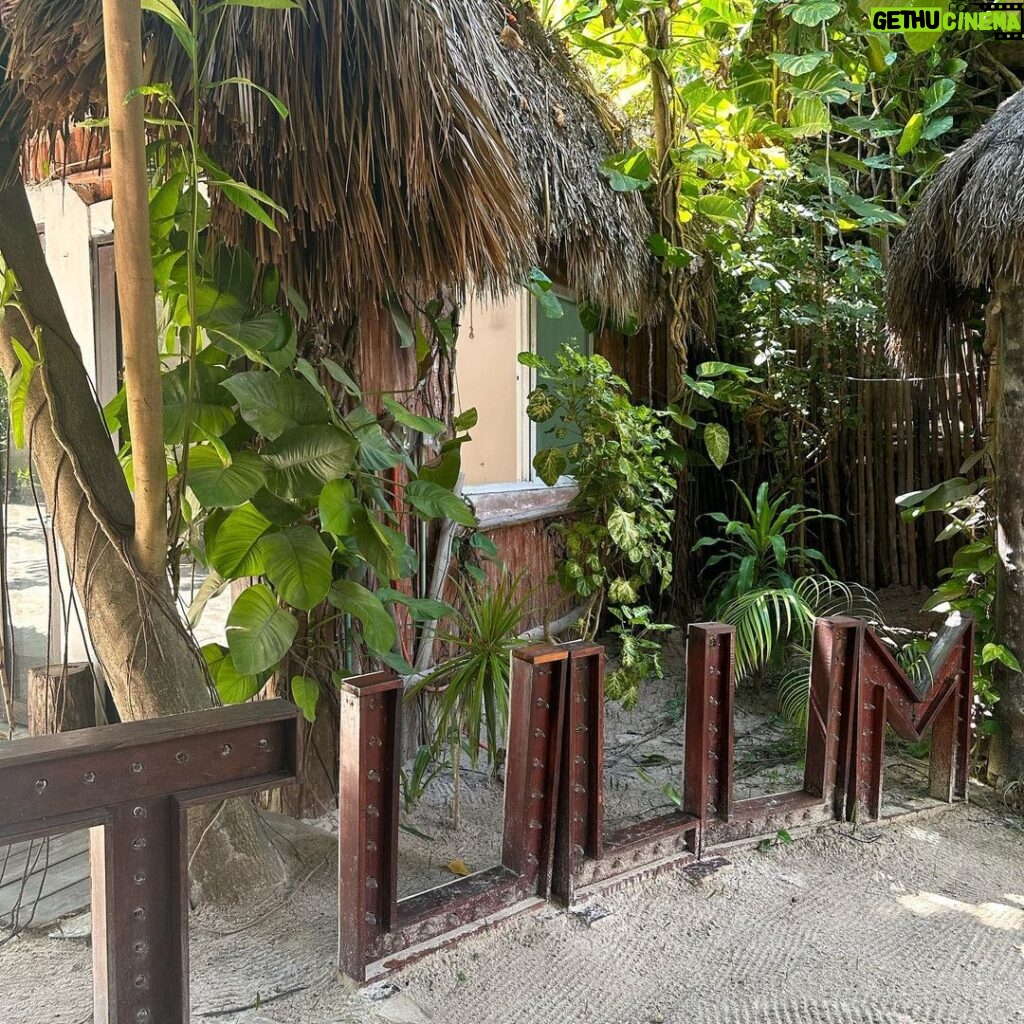 Carla Talon Instagram - únete a mí aquí 🦎 Tulum, México