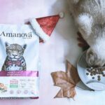 Carlos Nóbrega Instagram - “Huele delicioso. Dame.” ⠀ Un gato bien alimentado será un gato sano y feliz. 🐾🐱⠀ ❤️🐱.Isis está encantada 😺⠀ @amanovapets @theonlyfreshcompany⠀ ⠀ ⠀ Todo ingredientes frescos,saludables y naturales, 🐱qué nunca puede faltar en nuestra casa 🏠 💫⠀ ⠀ ⠀ ⠀ ⠀ ⠀ #onlyfresh #cnlive #iamisis #soyisis ⠀ #amanova #amanovaonlyfresh #amanovapetfood #amanovapets ⠀ #onlyfresh⠀ #petcareonlyfresh #cats #pets #catsofinstagram⠀ #gatos #catstagram #catlife #catlovers⠀ #comidanatural⠀