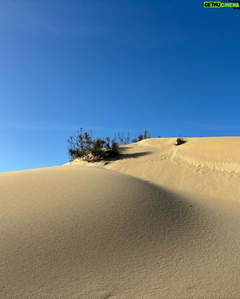 Carole Richert Instagram - Premiers pas, premier selfie, premières impressions, le soleil est là , le ciel est bleu …J’apprécie ce premier jour de l’an, je le vole à la morosité , l’embrasse et vous souhaite une belle année, la nature a un effet si puissant que j’en oublie parfois la réalité et me nourrit de cette beauté partout autour de moi …Je la partage, comme un cadeau…de Nouvel an! Bonjour 2024 ❤️❤️❤️ et mes meilleurs vœux à tous 🙏🌟 #2024 #nouvelan #espoir #paix #joie #douceur