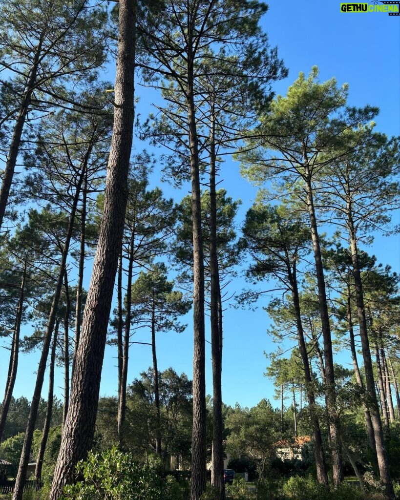 Carole Richert Instagram - Premiers pas, premier selfie, premières impressions, le soleil est là , le ciel est bleu …J’apprécie ce premier jour de l’an, je le vole à la morosité , l’embrasse et vous souhaite une belle année, la nature a un effet si puissant que j’en oublie parfois la réalité et me nourrit de cette beauté partout autour de moi …Je la partage, comme un cadeau…de Nouvel an! Bonjour 2024 ❤️❤️❤️ et mes meilleurs vœux à tous 🙏🌟 #2024 #nouvelan #espoir #paix #joie #douceur