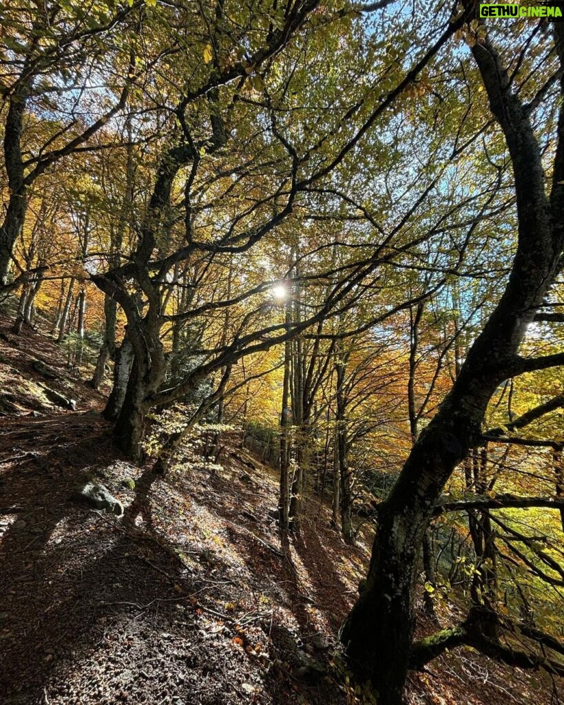 Carole Richert Instagram - En balade et j’admire… #montdore #auvergne