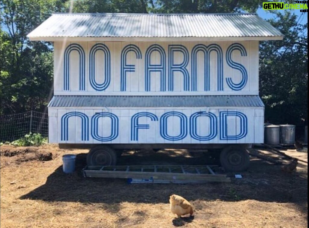 Casey Patterson Instagram - 🤍🌱🥚🌾🐇 Thankful to the farming community of growers, harvesters, the trucking industry and every human along the way in the food chain this holiday weekend. All are making it possible for us to shelter safely, while they risk. If you can, give today. @feedingamerica @farmaid 🙏🏻🇺🇸 Home