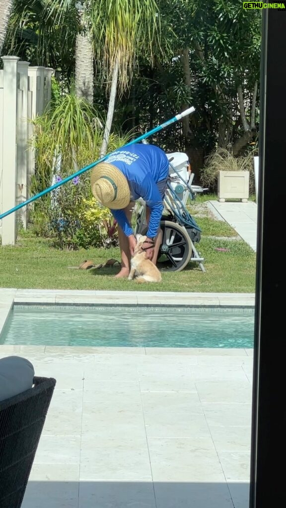 Catherine Bell Instagram - I wondered why Charlie was barking so much because he usually never does and then I realized Tim the Pool Man is here! 🥰💙