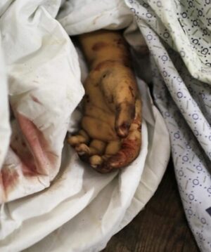 Celina Jaitly Instagram - Dear leaders of the world,
You all have let every child of #palestine down. 30,000 children have died and more die as I write this. The few remaining are maimed, orphaned and starving. 

We cannot build peace for anyone or any country on the graves of the children of #palastine 

Almost every child of Palestine is dead and every civilian has been made to pay a very brutal price for the actions of Hamas. 

This year brings the most horrific, heartbreaking images. These images will haunt and tarnish this century just like the images of world war two did the last.

Where is foreign policy ? Where is international diplomacy, where are the drafters of charters of human rights ? Why cannot the greatest leaderships of this world come together to end this carnage to stop this war.

My heart remains broken as I end this year with a prayer for peace and protection of all families😞!! 

“Krishnam Vande Jagathgurum”

May you all and your respective families, by the Divine grace stay safe and blessed forever.
Hare Krishna !!
 
Images: Belal Khalid @belalkh | Wissam Nassar @wissamgaza 

#palestine #palestine🇵🇸 #gaza #stopthewar #endwar #peace #celinajaitly #celinajaitley #bollywood #ceasefirenow🇵🇸
