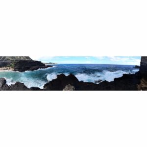 Chad James Buchanan Instagram - #cockroachcove
The name doesn't do it justice!!