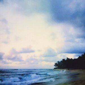 Chad James Buchanan Instagram - Mahalo: to new and incredible friends, to beautiful adventure, to the wondrous flows of inspiration - to love. Hawaii has been life changing.
.
.
This Polaroid we took looks like a painting. I suppose it's easy to capture poetic images with paradise as a subject 🙌🏼