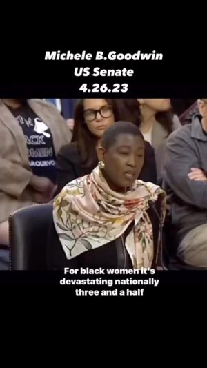 Charles S. Johnson IV Instagram - 🚨#SHEROALERT🚨 @michelebgoodwin not only understands the assignment, she embodies it.  #maternaljustice #birthequity #momnibus #applypressure #4kira4moms #lovealwayswins