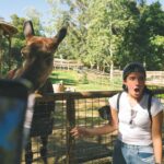 Charli D'Amelio Instagram - learning about the conservation efforts being led by the incredible team at san diego!! wildlife alliance is something I will never forget - thank you to the team at @sdzsafaripark for sharing your expertise and inspiring us to become allies for wildlife as we work towards a future where people and nature can thrive together 🤍 San Diego Safari Park