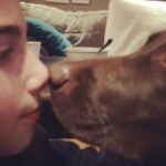 Charli D'Amelio Instagram - i know everyone thinks their dog is the most special dog in the world, but everyone that knows rebel sees that she is her own type of special. she is the sweetest, most loving little munchkin and i am so lucky to have her by my side. happy ninth birthday rebel 🤍
