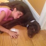 Charli D'Amelio Instagram - i know everyone thinks their dog is the most special dog in the world, but everyone that knows rebel sees that she is her own type of special. she is the sweetest, most loving little munchkin and i am so lucky to have her by my side. happy ninth birthday rebel 🤍