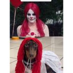 Chico Felitti Instagram – BOO 👻 As melhores, as piores & as mais esquisitas fantasias de Halloween competiram nos stories. Aqui tão as 10 mais votadas pelo público. Tem outras 40 no story destacado EC Halloween 🎃 Manicomio Del Circo De Los Horrores