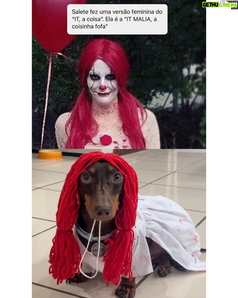 Chico Felitti Instagram - BOO 👻 As melhores, as piores & as mais esquisitas fantasias de Halloween competiram nos stories. Aqui tão as 10 mais votadas pelo público. Tem outras 40 no story destacado EC Halloween 🎃 Manicomio Del Circo De Los Horrores