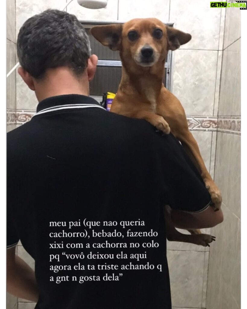 Chico Felitti Instagram - PET DA VOVÓ 👵 . As melhores histórias de pais de pais de pet competiram ontem. Aqui vão as mais votadas, mas tem 30 outras no story destacado EC AVÓS DE PET 🐶 🐱 PET SHOP BOYZ