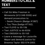 Chloë Grace Moretz Instagram - Here’s how to help NOW