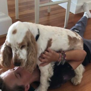 Chris O'Donnell Instagram - Finn returns from camp #happydog #washyourface