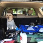 Chris O'Donnell Instagram - The weekend is almost here, someone is ready to tee it