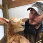 Chris Pratt Instagram - Whatchu smilin’ about buddy 🤣 #StillwaterRanch #LambSeason