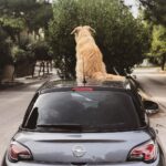 Constantine Markoulakis Instagram - Μετακίνηση 6