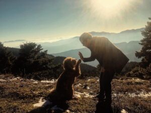 Constantine Markoulakis Instagram - His Master’s Voice - mountain edition