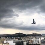 Constantine Markoulakis Instagram - F L Y A W A Y