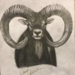 Daisy Coleman Instagram - Since I unexpectedly will not be getting to run my Friday the 13th special, I will be selling my art in order to make up for this. I hate the thought of not being able to leave my amazing clients something to leave behind. I will only do 13 prints of each design and they will go fast. Dm me for serious inquiries only, please. I also have original paintings available that I will be posting later