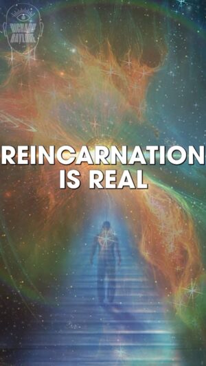 Damien Power Instagram - Reincarnation is real.