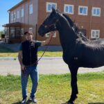 Damir Ismagulov Instagram - Наконец-то смог прокатиться, после болезни этот конь приходит в себя хотя многие его уже списывали, скоро он будет в строю😉🔥🐎