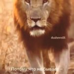 Damir Ismagulov Instagram -