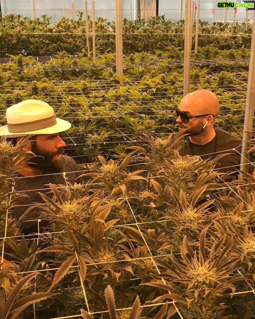Dan Bilzerian Instagram - Prison is for rapists, thieves, and murderers. If you lock someone in a cage for smoking a plant that makes them happy, then you're the fucking criminal.- @joerogan