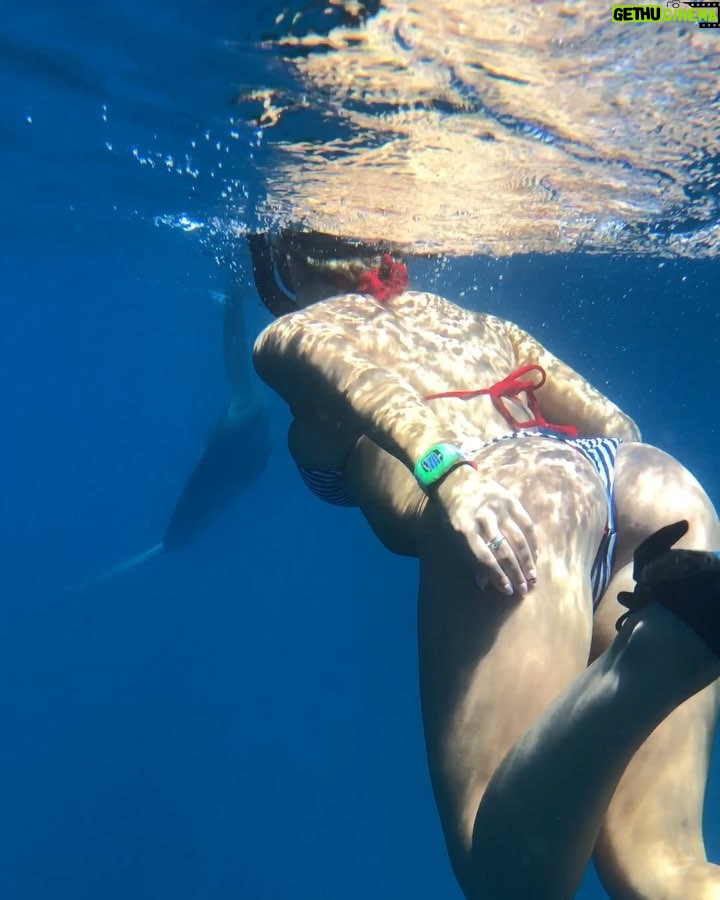 Dan Bilzerian Instagram - Ocean Sunfish Galapagos Islands