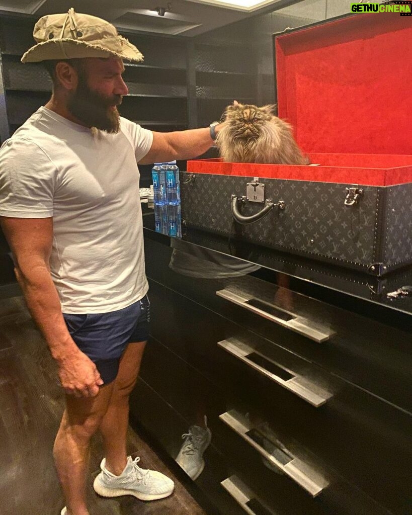 Dan Bilzerian Instagram - Cat got new litter box Bel Air