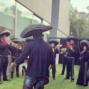 Dani Alves Instagram - La vida siempre manda señales, necesitamos estar siempre atentos a  eso!!! 
Viva Mexico cabrones🤪 
TBT? 🤪😂😎🐆