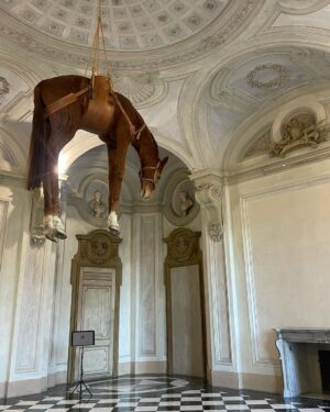 Daniela Collu Instagram - C’è un cavallo imbalsamato appeso in mezzo alla stanza di un museo: è un’opera di Maurizio Cattelan e si intitola Novecento. Ne ho visti un milione di cavalli nei musei, ritratti in posizione rampante, solenni nelle sculture equestri, dipinti nei paesaggi ottocenteschi, morenti nelle scene di guerra di tutte le epoche, a terra, galoppanti, in mandrie, solitari, ma così mai. 
Il collo è deformato, allungato dalla gravità e dalla tassidermia, le zampe a guardarle da sotto sembrano più tozze, più lunghe e larghe, e un senso di precarietà pervade i sensi, mentre si attraversa la stanza sotto questo peso galleggiante, immobile, inerme. Si chiama come il secolo in cui siamo nati, quello in cui la maggior parte delle sciagure che ora non sappiamo manovrare sono state costruite, un secolo di errori, di scoperte, di sconfitte e vittorie, di grandi passi per l’umanità e di crisi esistenziali senza ritorno. È la natura morta più disorientante, straniante e cruda che si possa immaginare, parla di simboli decaduti, di corpi infranti, di certezze mancate, di fallimenti annunciati. Di quel senso di impotenza e di inerzia umana che ancora, in un nuovo secolo, ci soffoca terribilmente. #unminutodarte