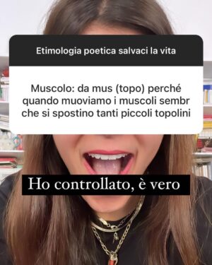 Daniela Collu Instagram - Meritavano un post: un martedì iniziato con la consapevolezza (Grazie Totta) che un dis-astro è solo un disallineamento delle stelle e continuato con le vostre rivelazioni. È tutto bellissimo, c’è molto altro, ovviamente salvo tutto in evidenza. 
È bello sapere che quando si perde il senso basta cercarlo nelle parole ed è tutto più chiaro ♥️