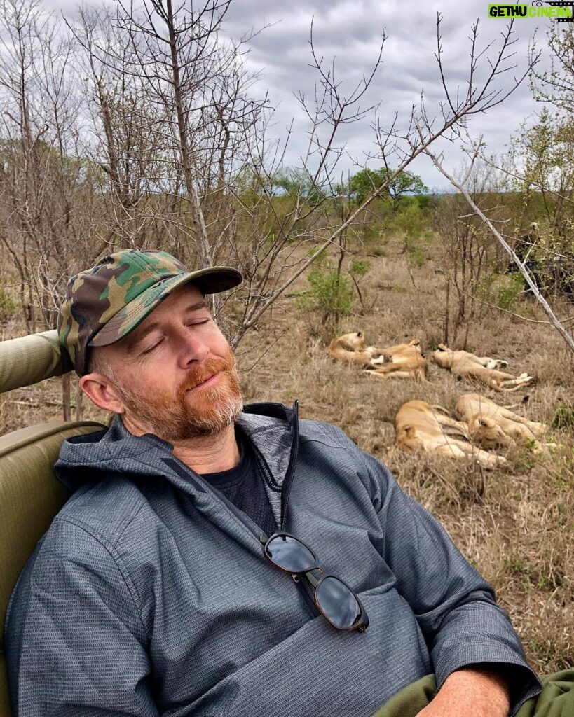 Dave Farrell Instagram - On this fine Thanksgiving Day, I’m thankful for a late morning nap with some of my new friends! 🦁 💤 #CatNap #LionNap