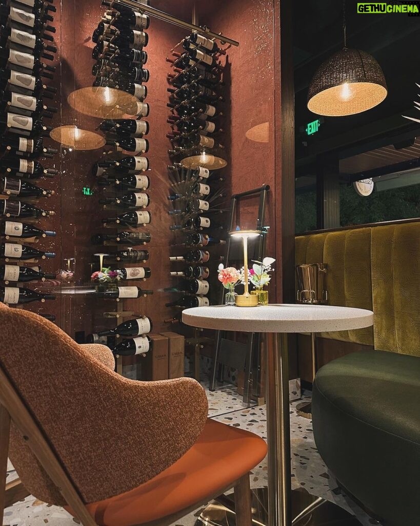 Dawn McCoy Instagram - Cheers to our dear - and talented - friend, @christopherkennedyinc on his newest design project launch, @canopywinelounge, in downtown Palm Springs. A beautifully designed space that both celebrates the desert you’re in and also makes you feel like you’re being transported to an exotic destination - Canopy is sure to be the newest hot spot for Palm Springs locals and tourists alike. From the decadent, velvet chartreuse booths to the tall, white paper trees and vegetation, you cozy up in there, thinking to yourself, “I’ve never been anywhere quite like THIS before.” And how spectacular is that? I’m also so proud to toot another friend’s horn who is involved in this opening - my wonderful friend, @lowiemoore @lawrencemooreassociates is Canopy’s PR. So you know who you need to contact if you’d like to cover it for press. I loved it so much that I’m not even slightly exaggerating when I say that I can’t wait to get back. Sure to be new favorite place to meet friends and business associates (and work solo while enjoying a glass of wine), my favorite wine I tried was their Justice Cabernet. How perfect is that? It’s a sign if you ask me.🍷 @kellygolightly and I - as well as a slew of other friends (as you can see) had the loveliest time and I can’t think of a better way to welcome in the holidays than hugging friends while celebrating other friends’ successes. ☺️🎄❤️ Kelly and I even sported her @kellygolightly x @bethladdcollections swan earrings and clutches and our @jouercosmetics x @lovingwayfoundation lip kits.💋 My ensemble: @trinaturk - styled by @denise_in_socal My shoes: @seychellesshoes at @trinaturk @shopelpaseo Palm Springs, California