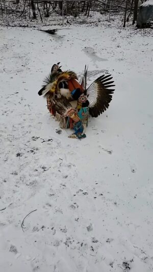 Deborah Colker Instagram - Que potência❤️❤️❤️❤️ Dança e cultura sempre caminharam juntos!! 

dança tradicional dos ‘native americans’ - pow wow dance

créditos TikTok @jamestheotter e @nativeamerican.ig