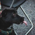 Devin Lytle Instagram - throw out your instagram boyfriend. get you a sony rx10 IV fiancé.