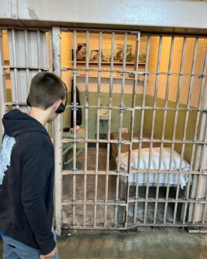 Devon Sawa Instagram - He was absolutely fascinated this day. Alcatraz.