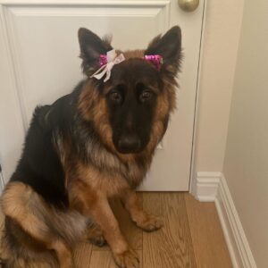 Devon Sawa Instagram - He was suppose to be the man of the house while I was gone. Protector of the family! Apparently he’s been doing nothing but attending tea parties with my 7 year old! Some best friend.