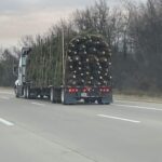 Devon Sawa Instagram - Driving behind this log truck carrying Christmas trees and thought I’d wish you all a happy holidays!