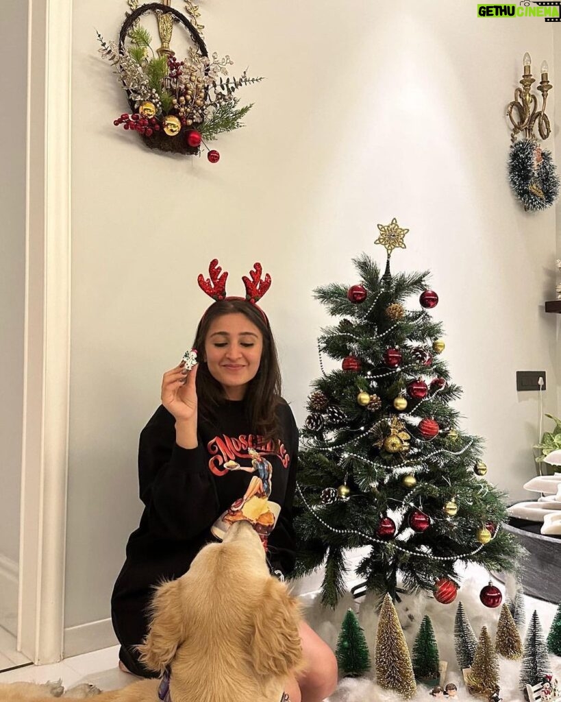 Dhvani Bhanushali Instagram - Merry Christmas and happy holidays ❤🎄 Decorated a tree and a ginger bread cookie 🤓