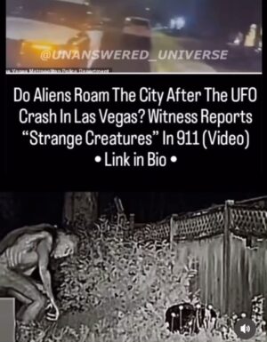 Diego Sanchez Instagram - First video I have seen of a documented alien sighting this was in Las Vegas last week and even the cops seen the object falling from the sky.
