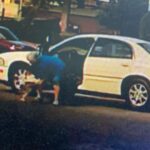 Diego Sanchez Instagram - Thanks to the surveillance cameras @3dkutzbarbershop where duko went missing on Saturday evening around 5:45pm the lady did not check around for a owner before swooping him in her car and leaving with my dog. Please everybody repost on IG and Facebook there will be a reward for the one who can track her or duko down. If found you can take to barber shop or dm comment me and we can link on the phone. Please help me find my duko he’s very special and I need him back. Dm me if you find anything out 3D Kutz Barber Shop