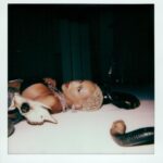 Doja Cat Instagram - Wart🐺